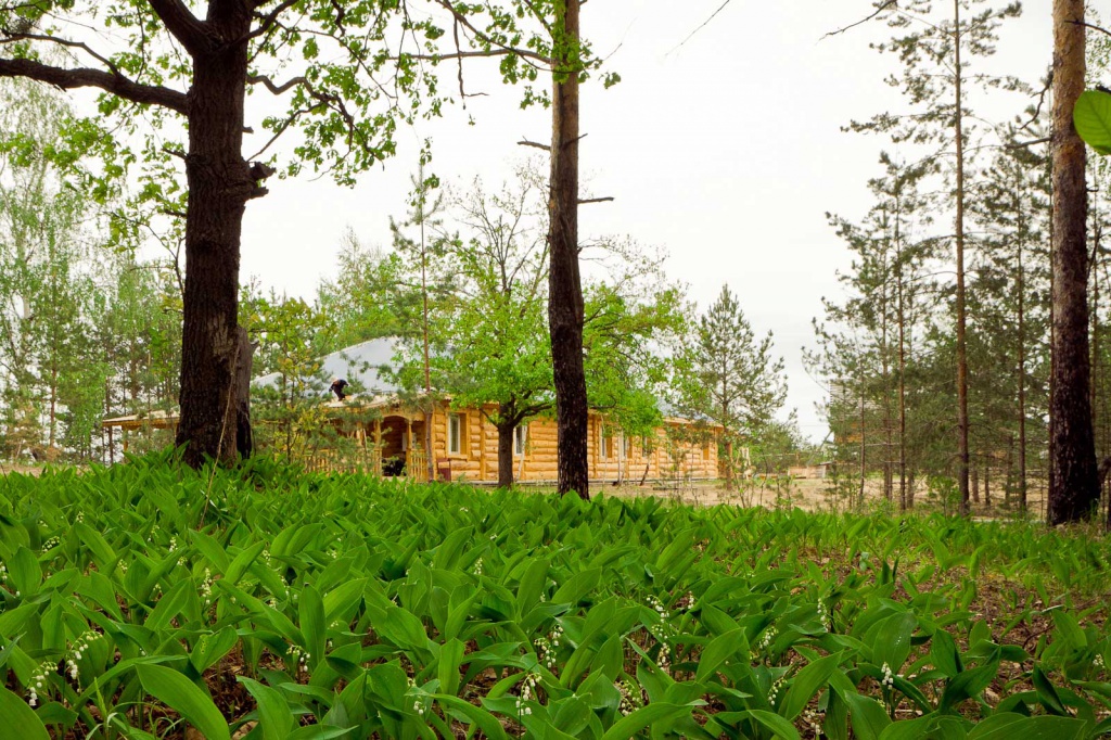 Дубки Выкса. Турбаза Дубки. Дубки база отдыха Нижегородская область. Турбаза Выкса.